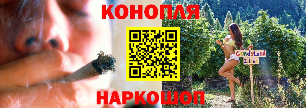 Павловский Посад  Канабис White Widow  Марихуана гибрид  Каннабис тримм  Вход с VPN 
